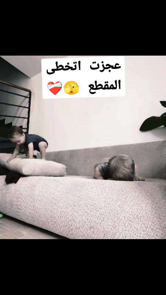 @hamzh
