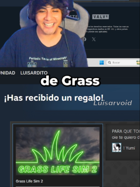@Luisarvoid
