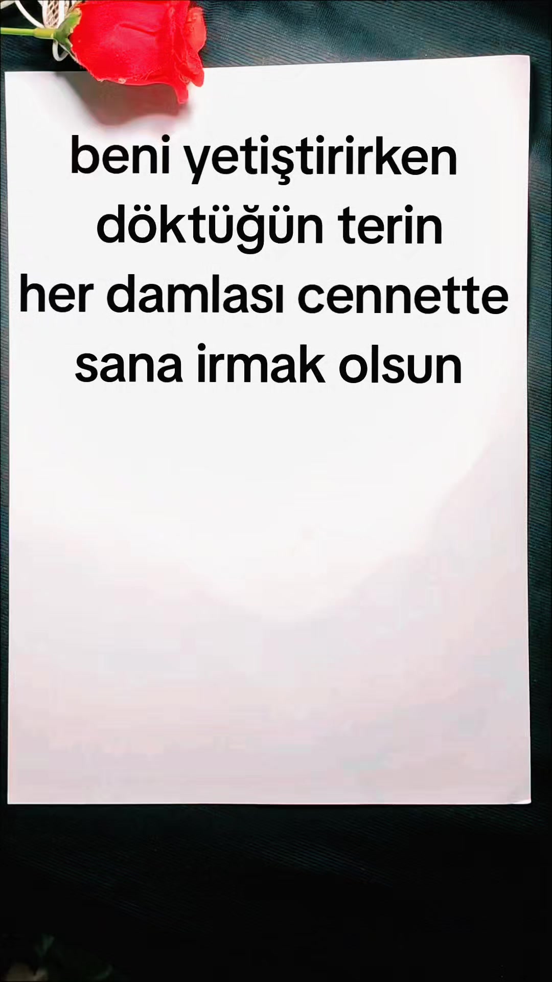 @kaligrafmsena