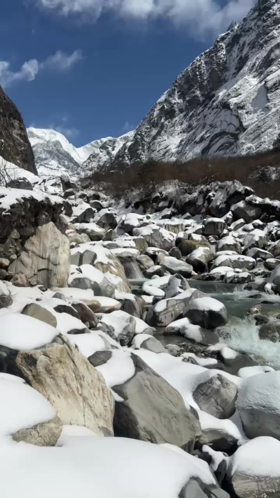 @vandri_pratik
