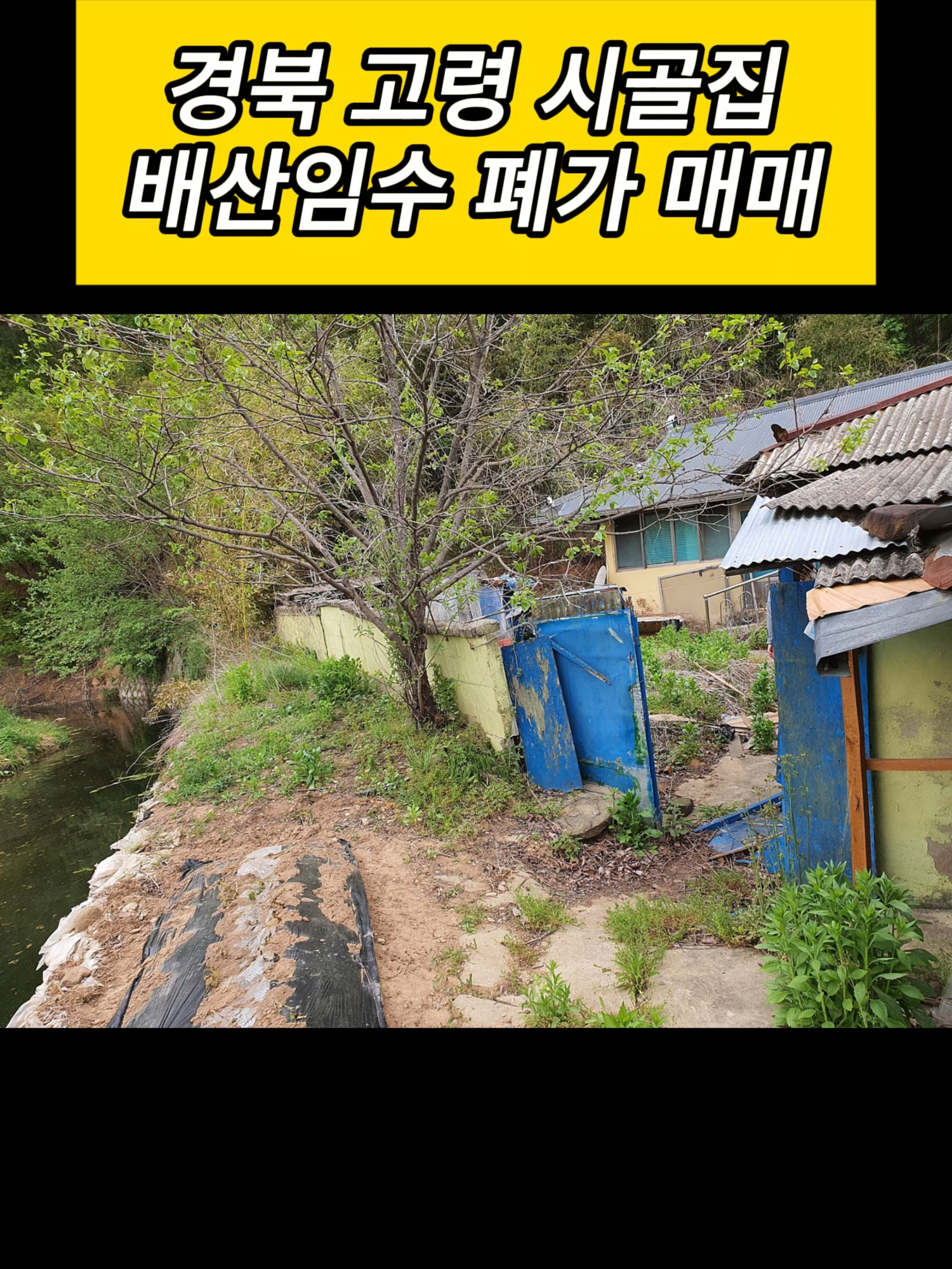 @시골집 한옥 전원주택 귀농 귀촌 시골 한달살기 촌캉스