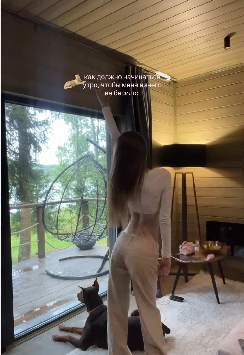 @darinily