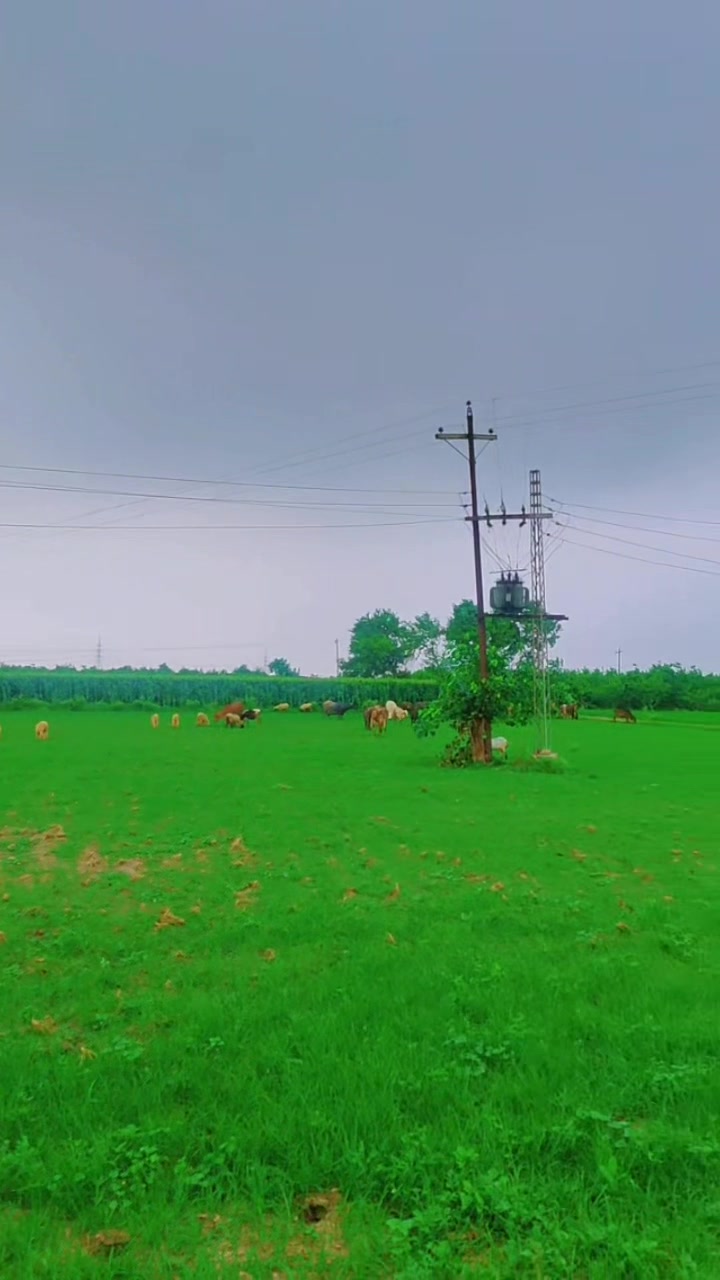 @tanveerahmad14400