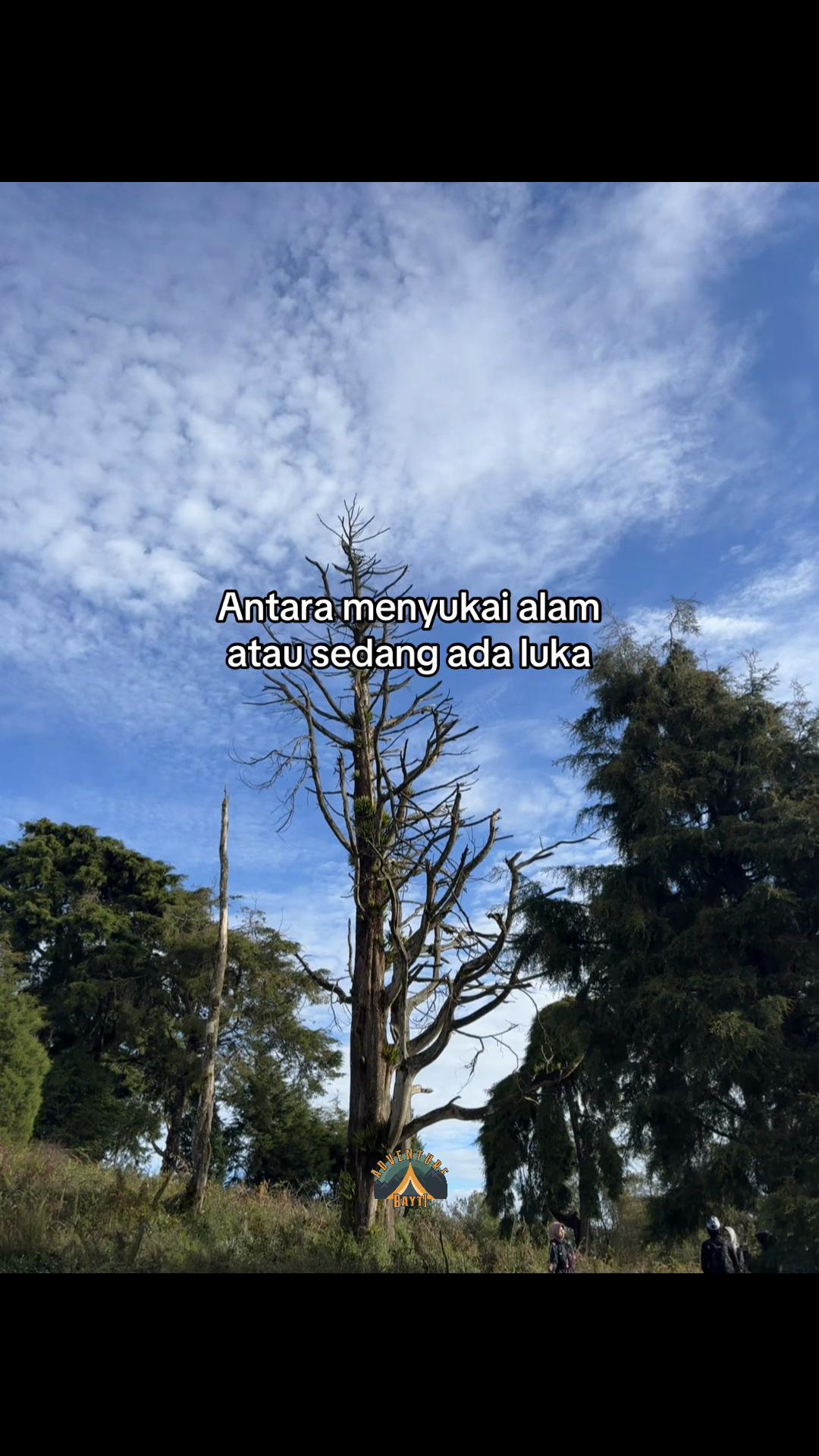 @RENTAL ALAT OUTDOOR JEMBER