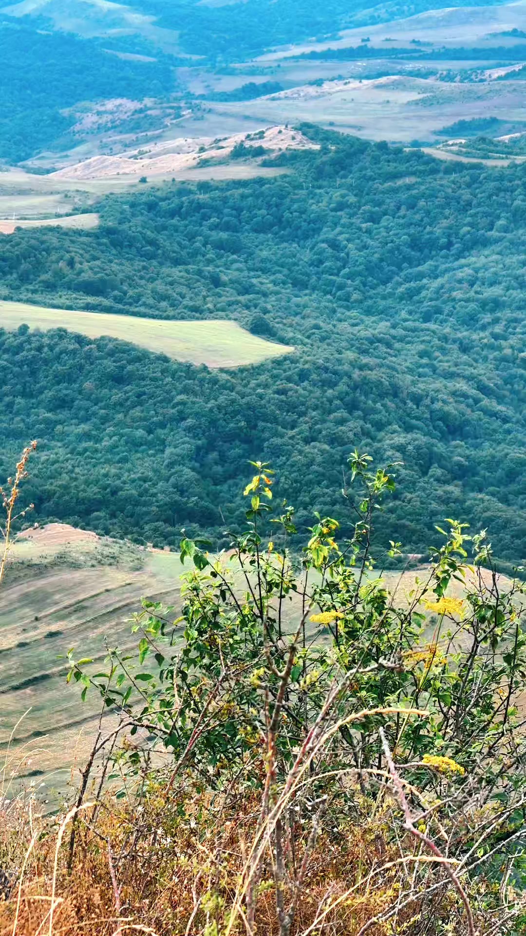 @🇦🇿 𝑬𝒎𝒊𝒍 🇹🇷