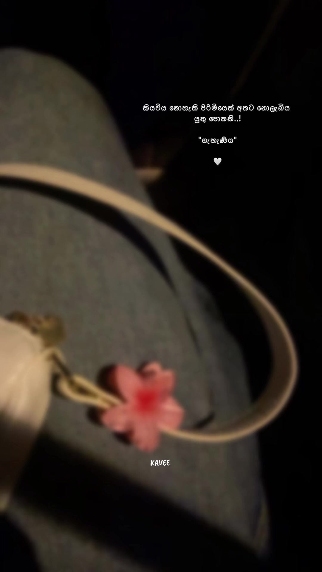 @𝑲 𝑨 𝑽 𝑬 𝑬 🪼