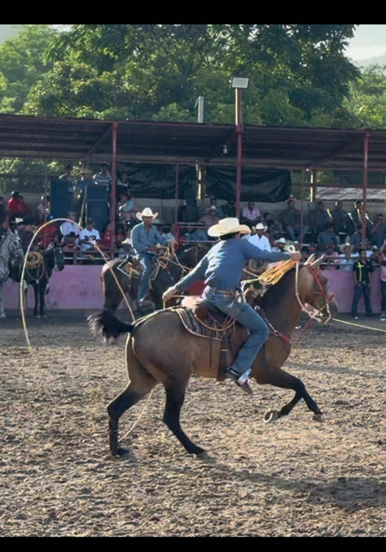@José Núñez