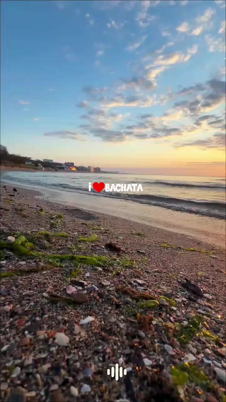 @🦋🎶🫶