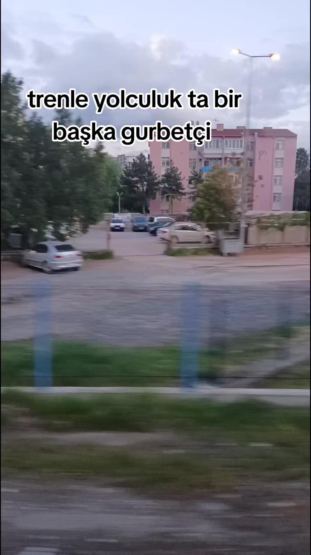 @🌹Sivas 🌹gülü 🌹