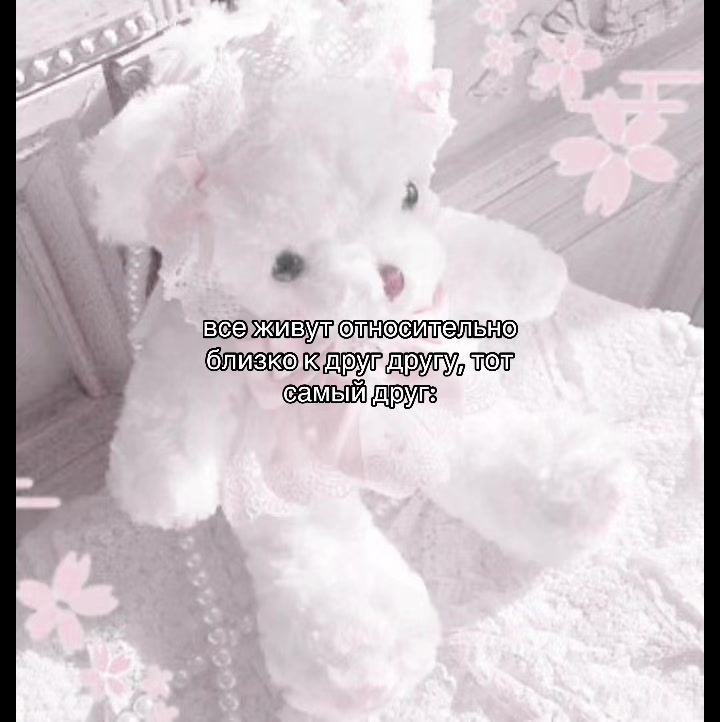 @݁˖𝜗ৎ ᥎ᥲᥒiᥣᥣᥲ‧˚꒰🐾୭ ˚