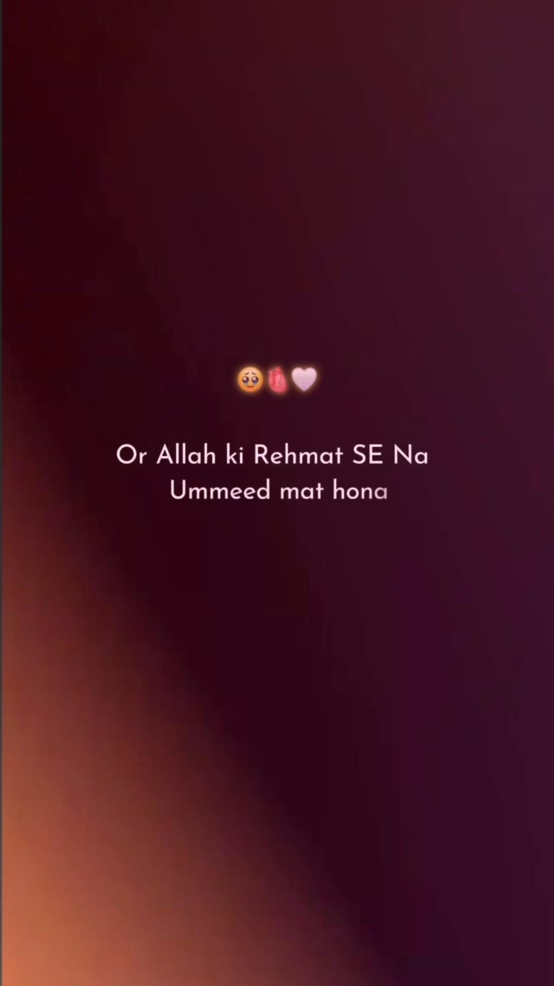 @ᴀᴅᴠᴏᴄᴀᴛᴇ ɴᴏᴍᴀɴ ʙᴀꜱʜɪʀ 👈