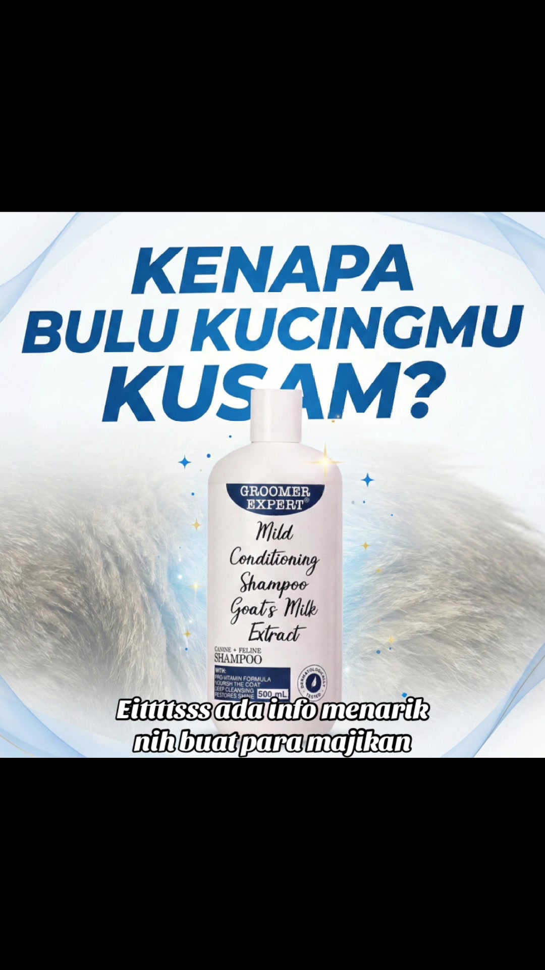 @Groom Indonesia