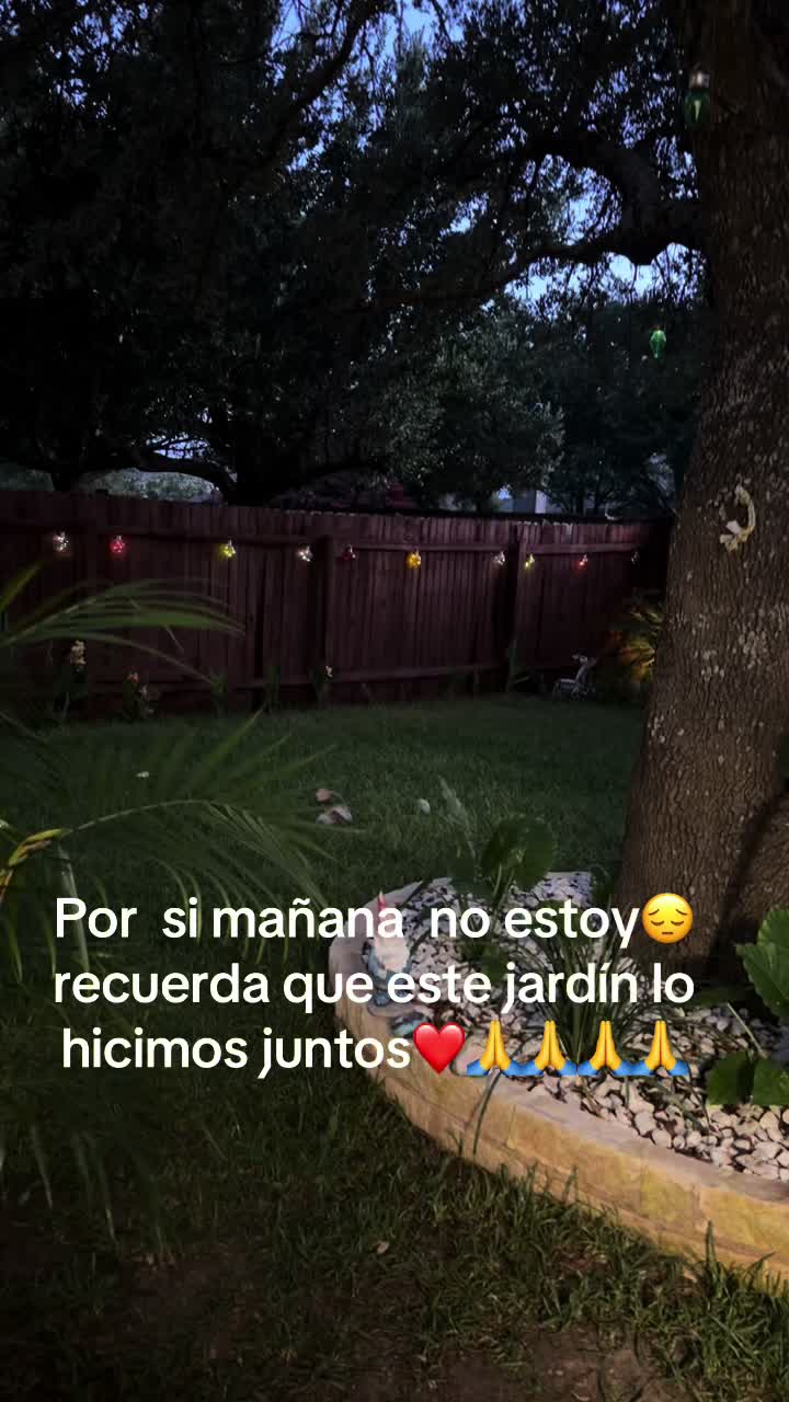 @Carmen amador