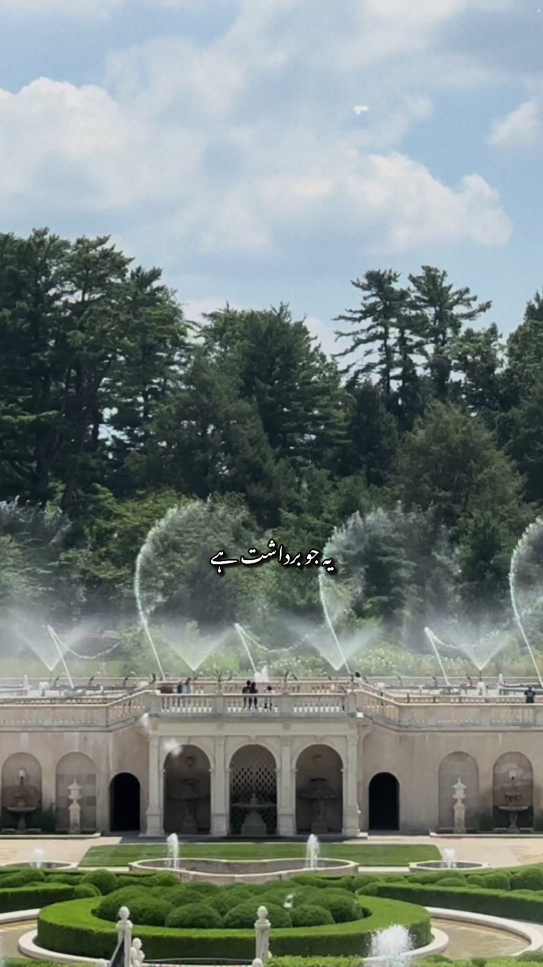 @Mehru🌸