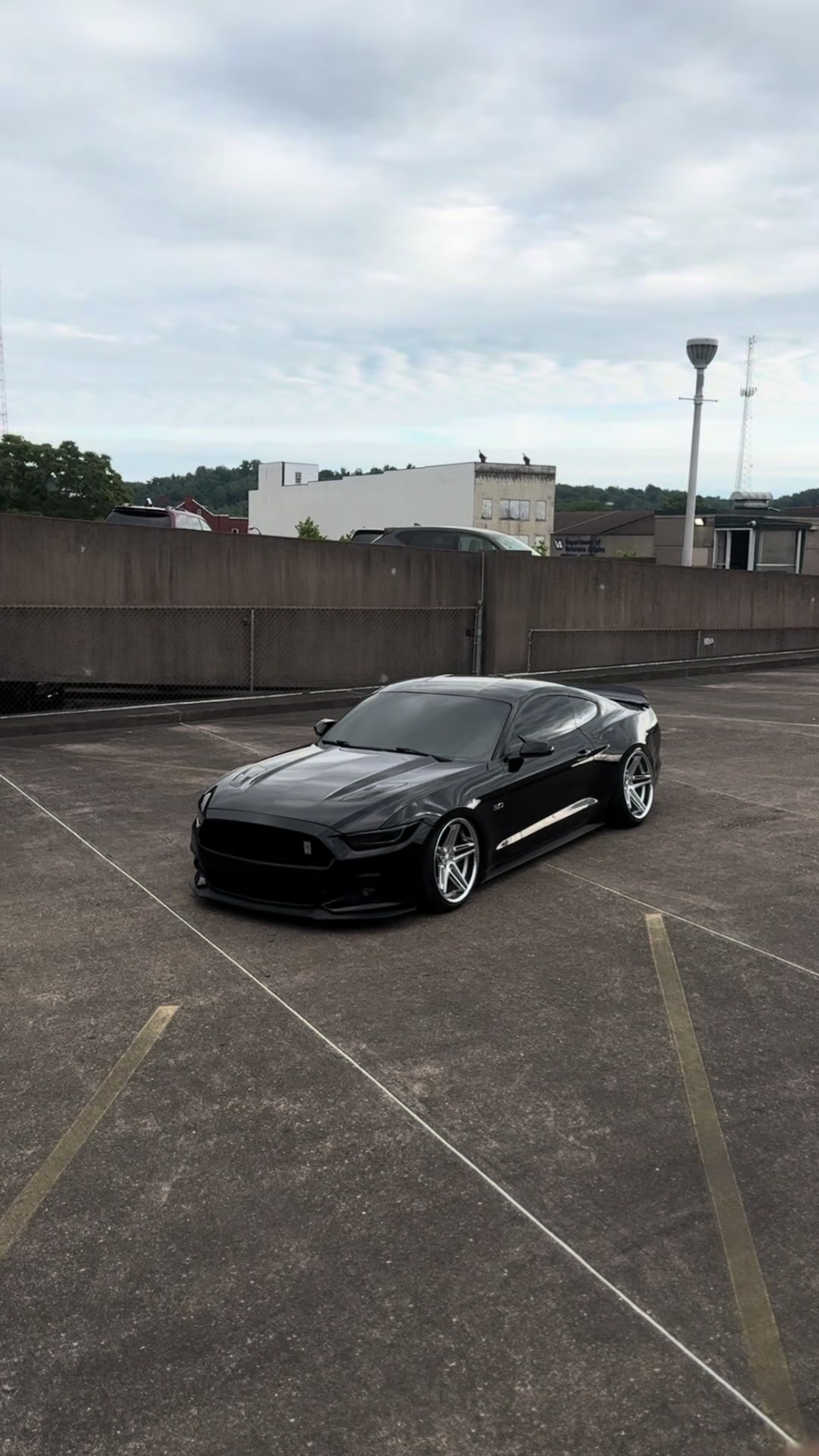 @blackout_coyote