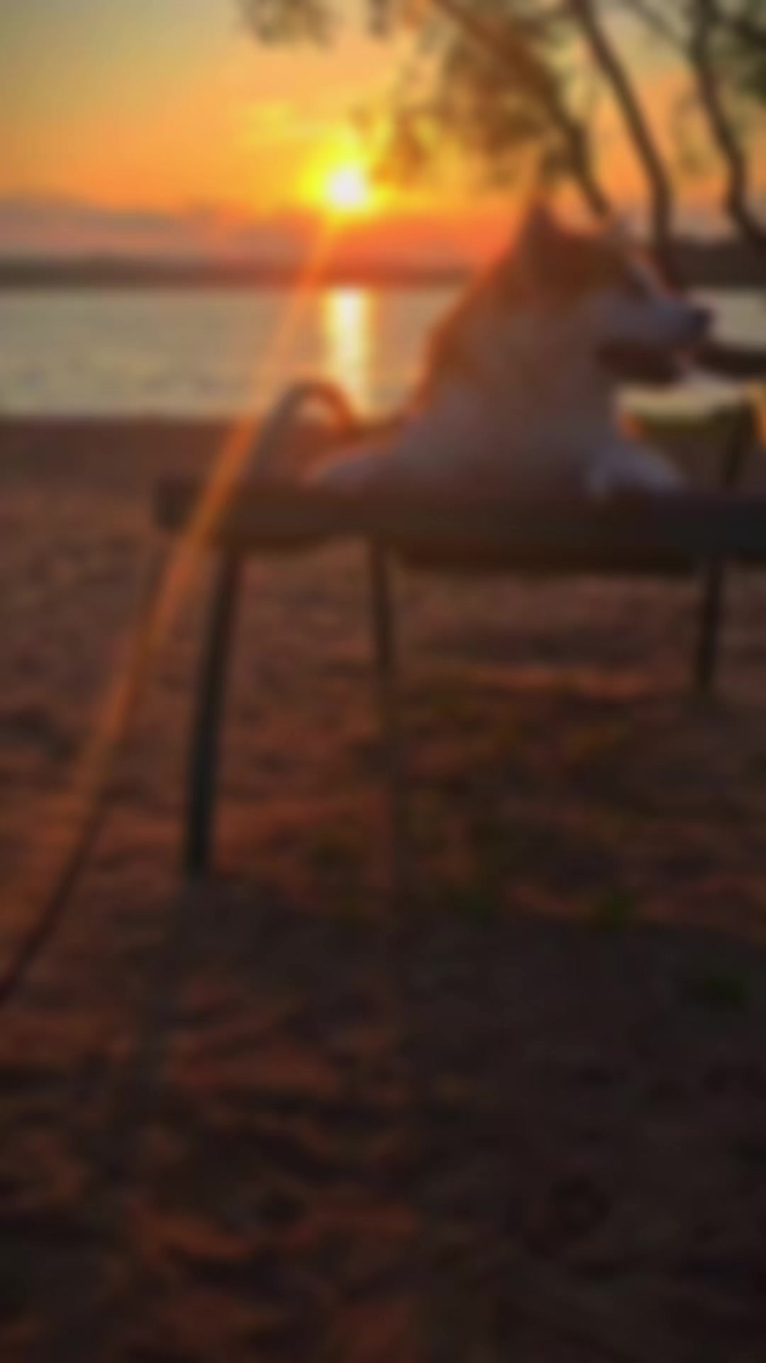@oh_myakita
