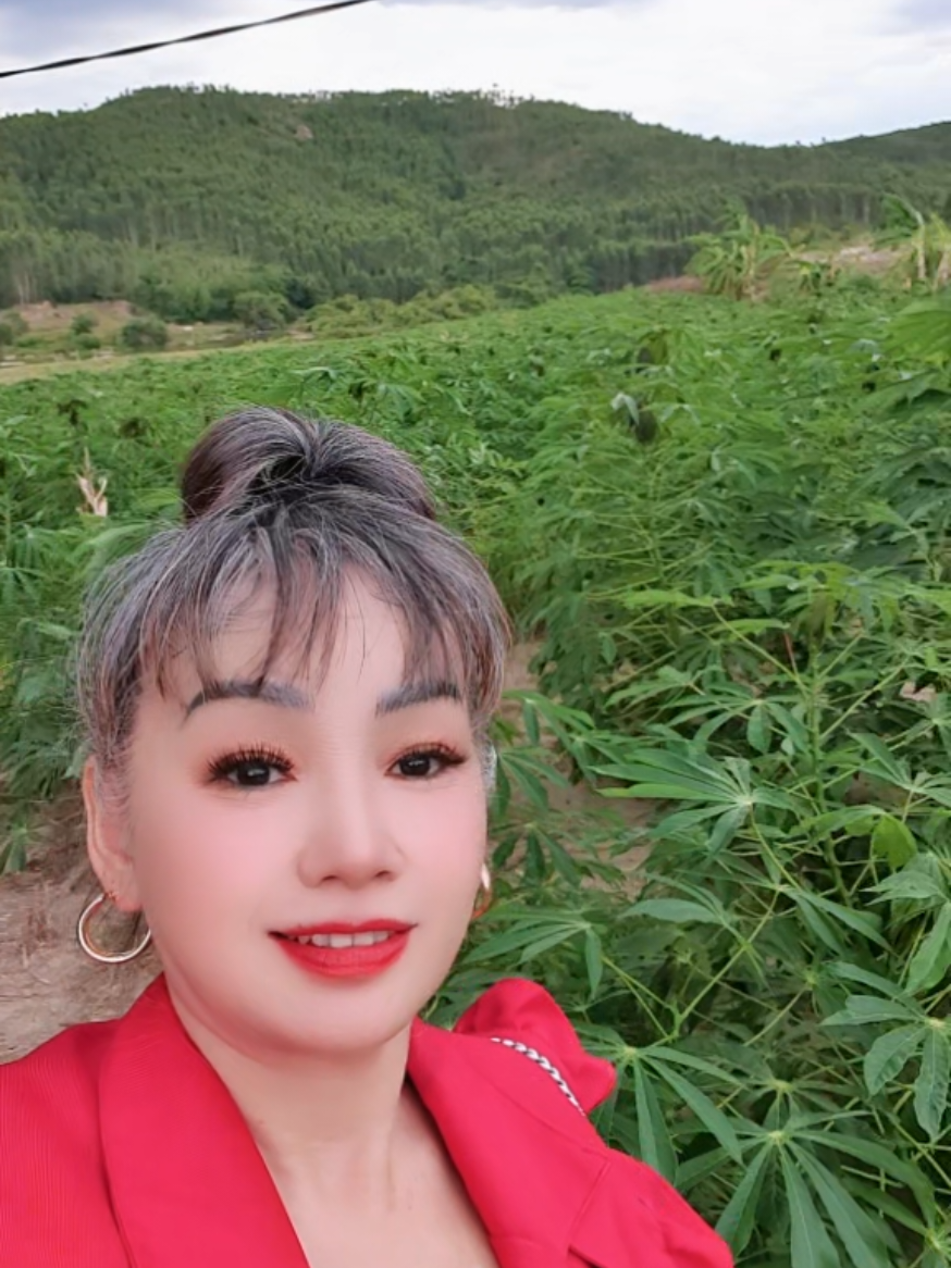 @HỒNG HẠNH 358