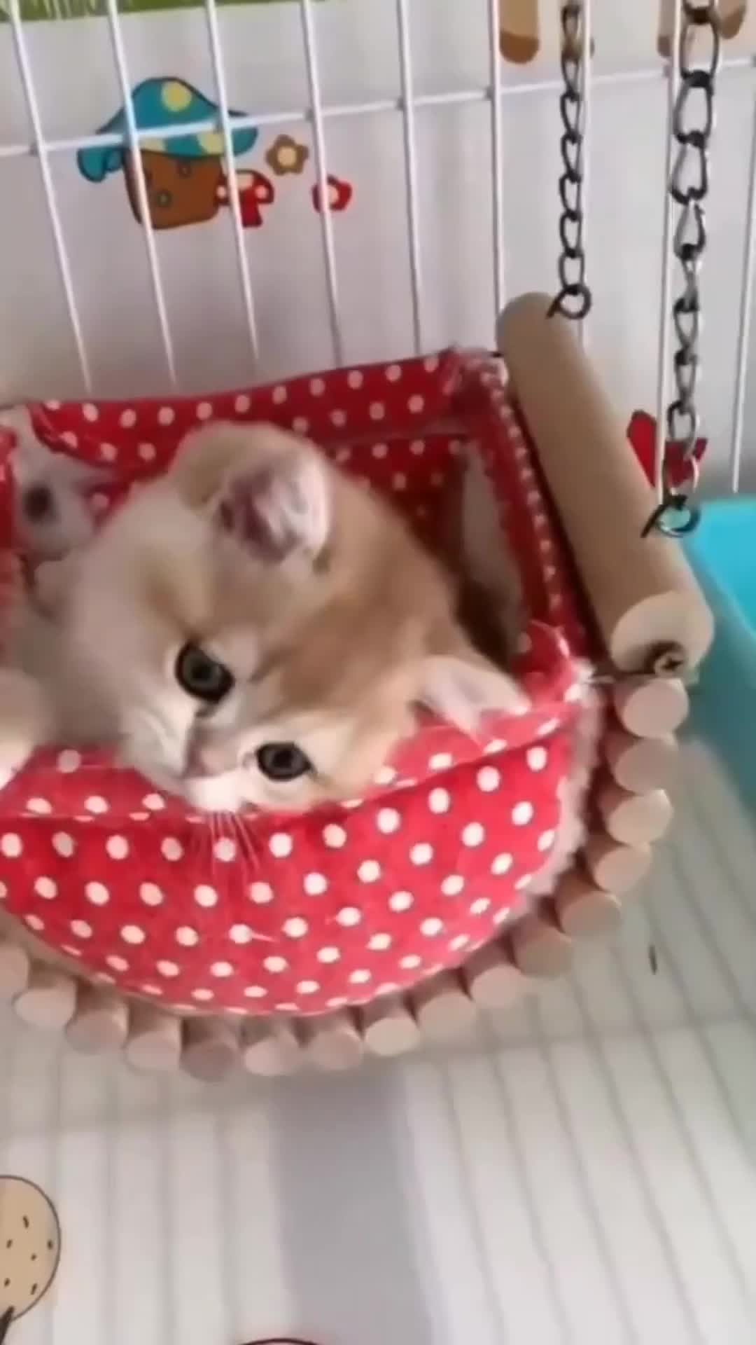 @CosmicCrystal