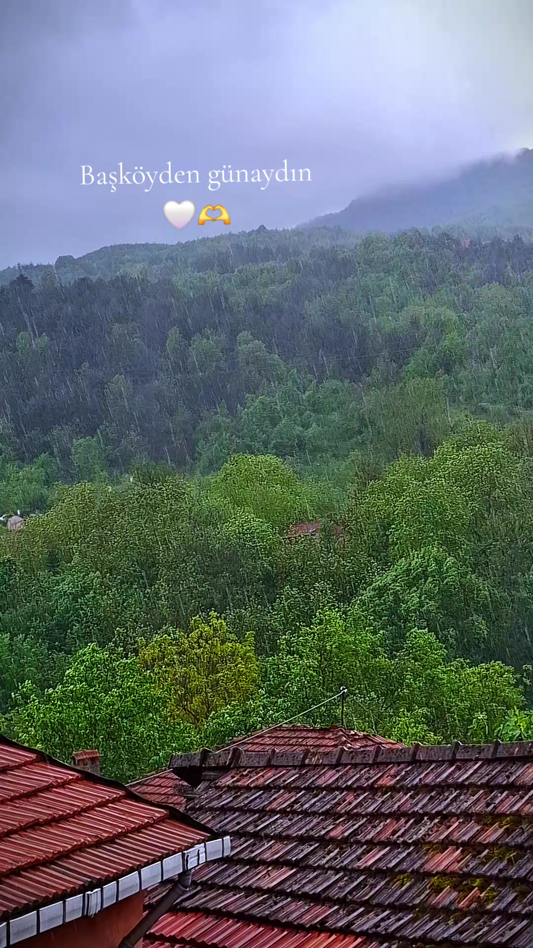 @Ayşegülgünter