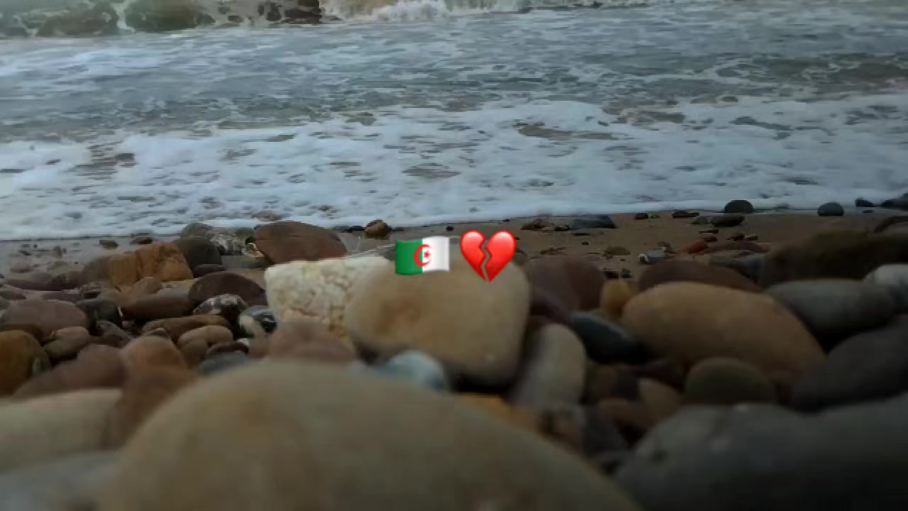 @𝑩𝒐𝒃𝒂🦁🇫🇷❤