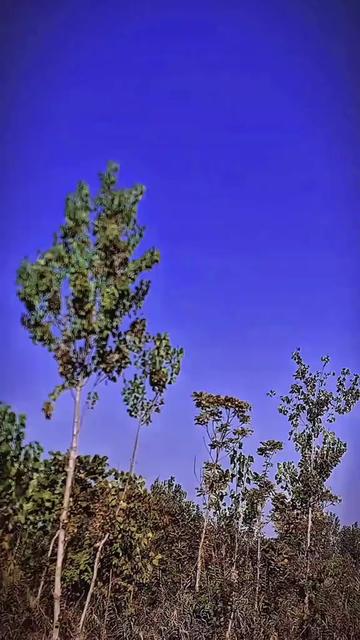 @🚩Sahil Khan 302🍂🫶