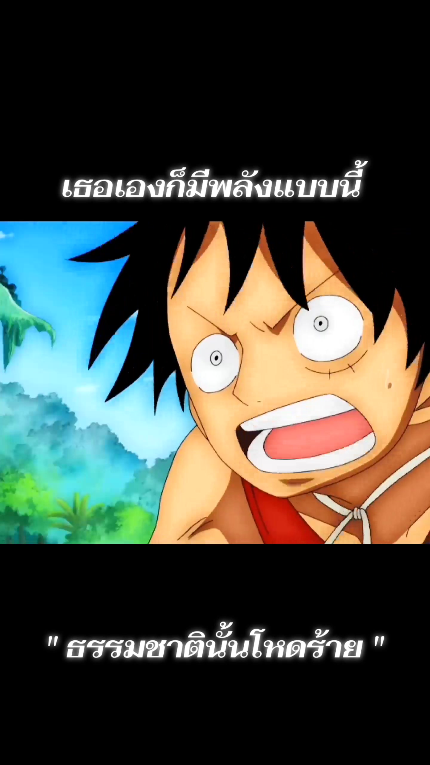 @ลูฟีหมวกฟางᥫᩣ.