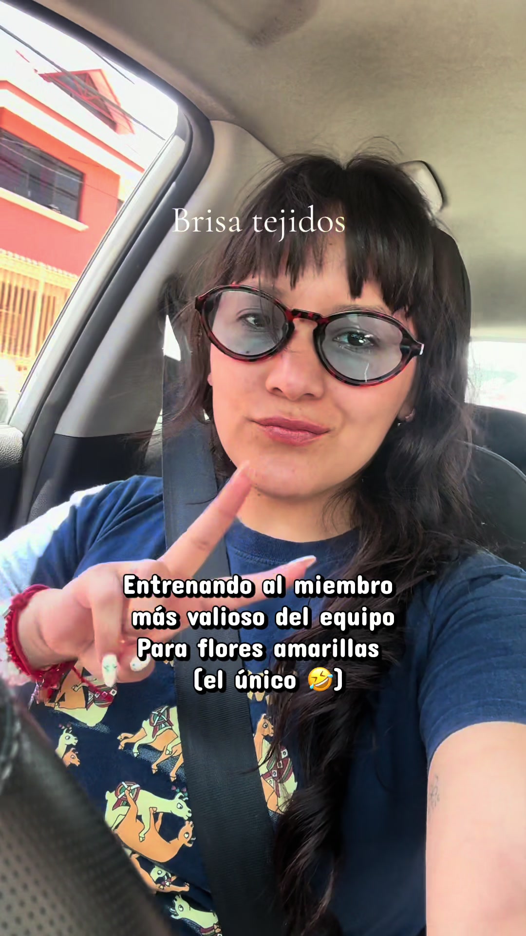 @brisa_tejidos