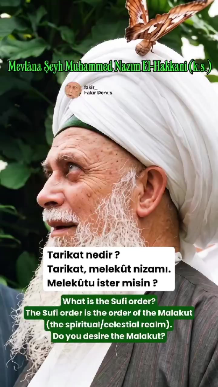 @Erdal 1975İst