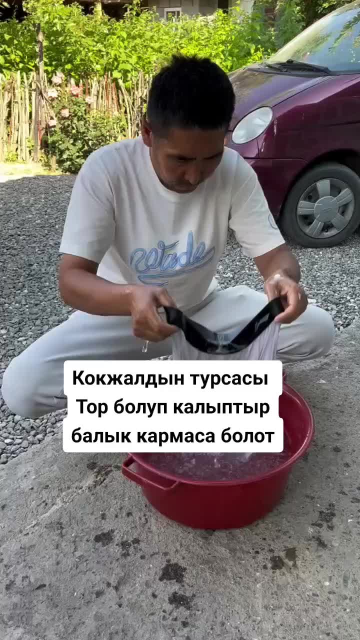@Дикий Карышкыр🐺