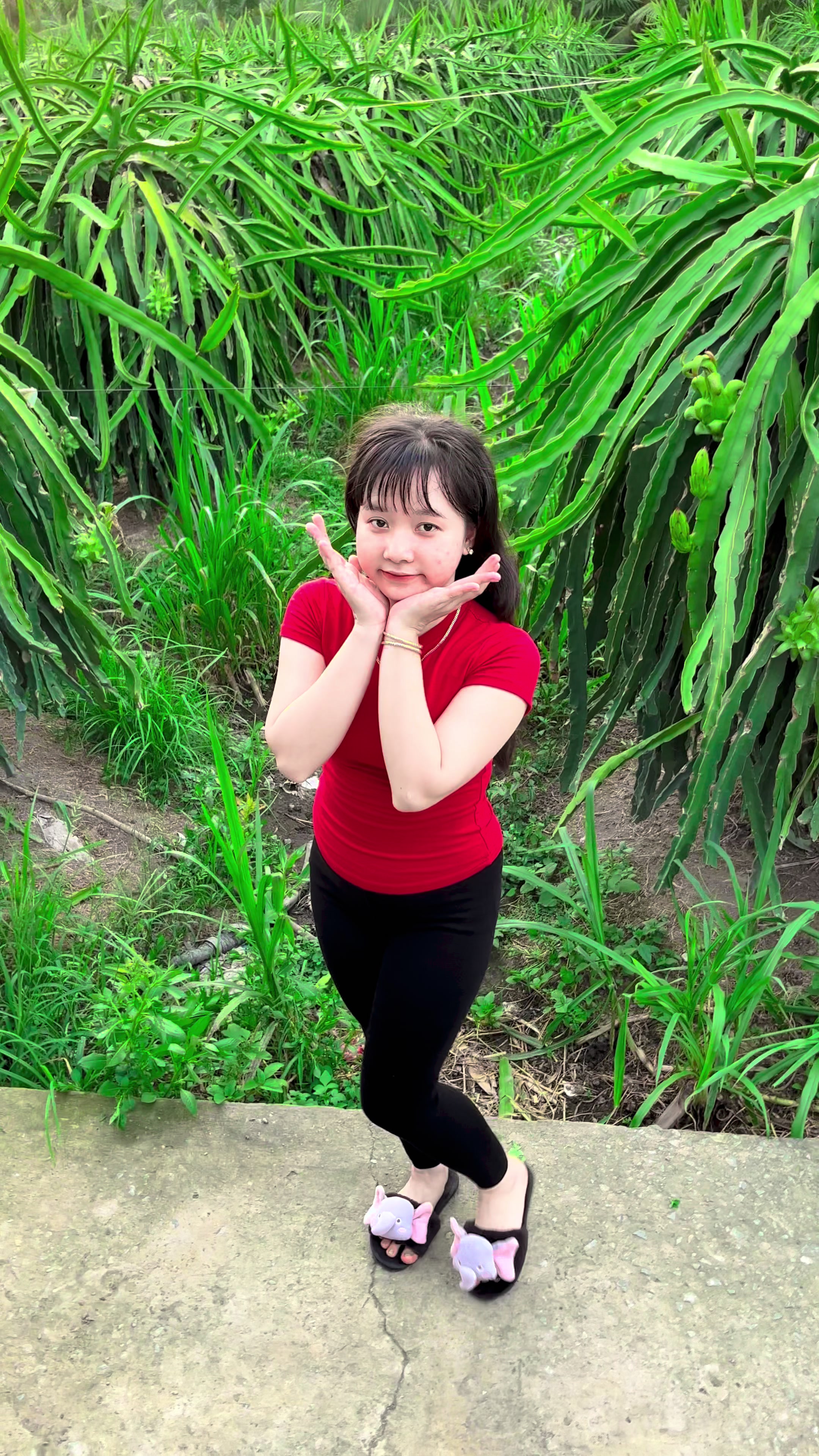 @Cẩm Trúc