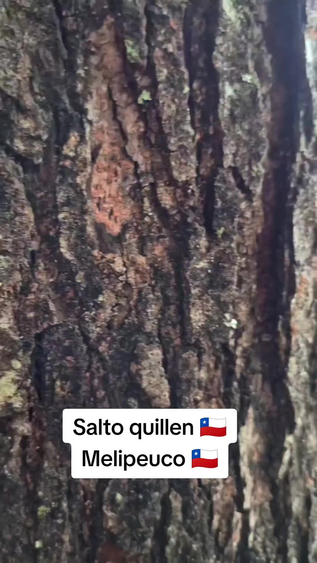 @Wladimir 🇨🇱🇧🇷🇦🇷🇺🇾
