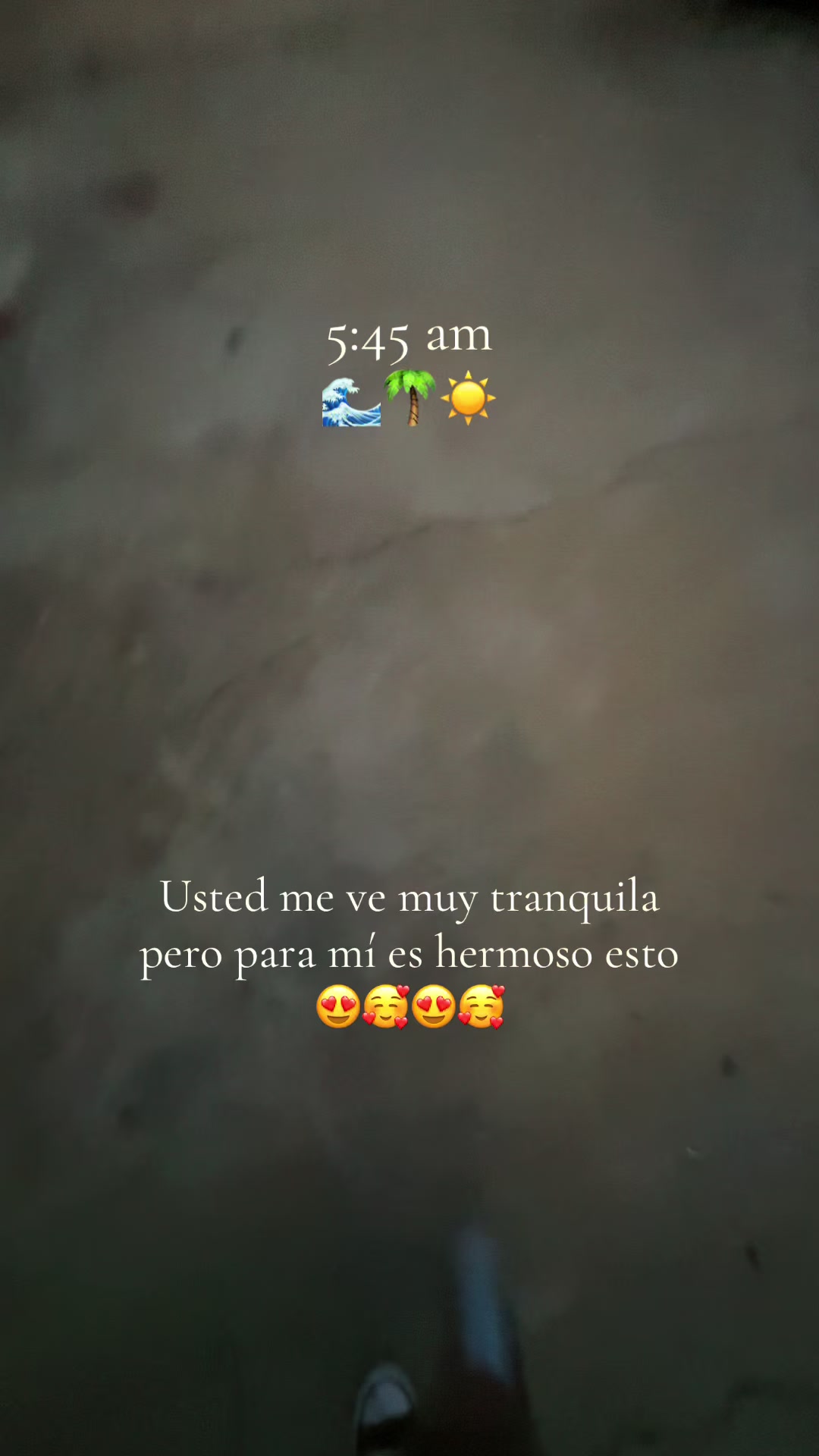 @Andrea 🪸