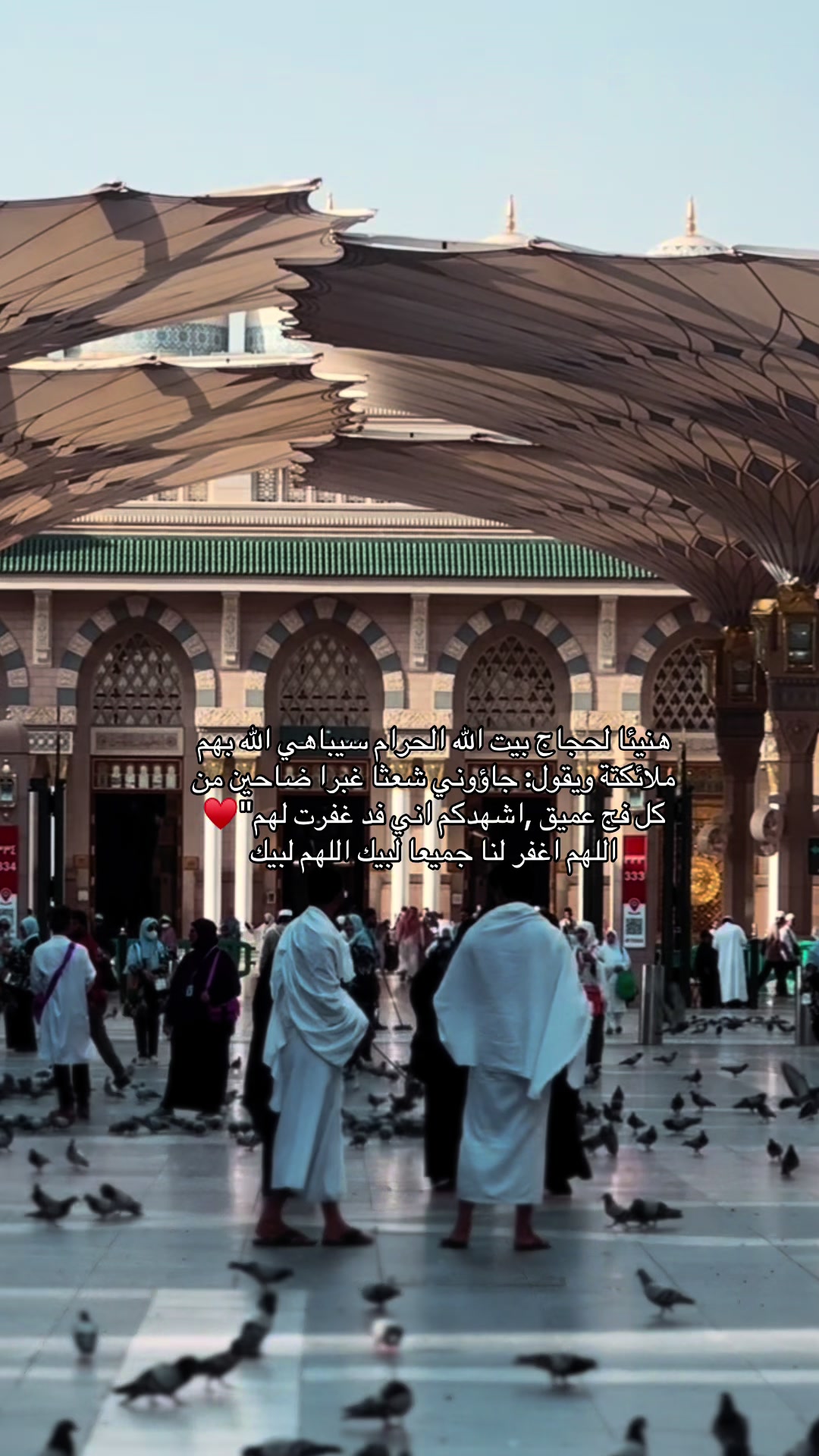 @متطوعة | المدينة المنورة 🕌