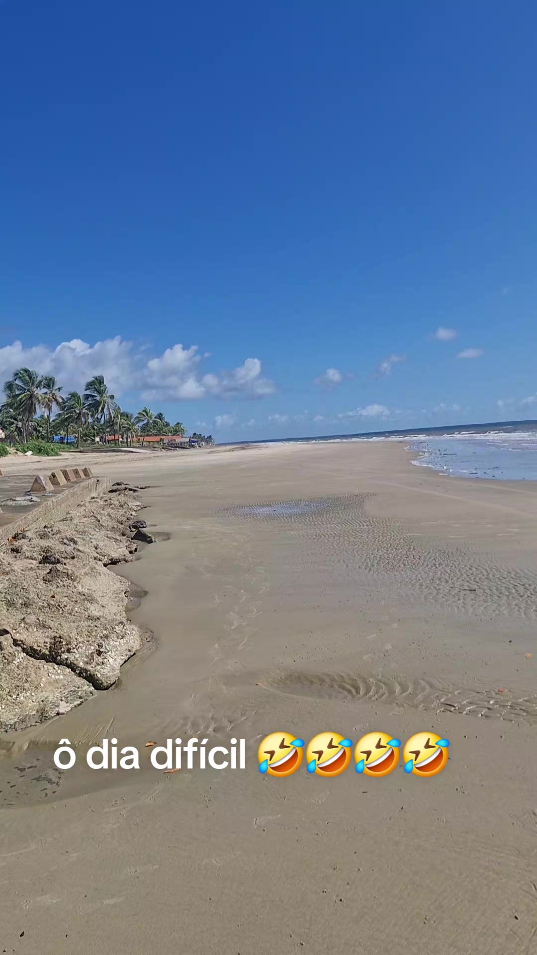 @celiapereira9823