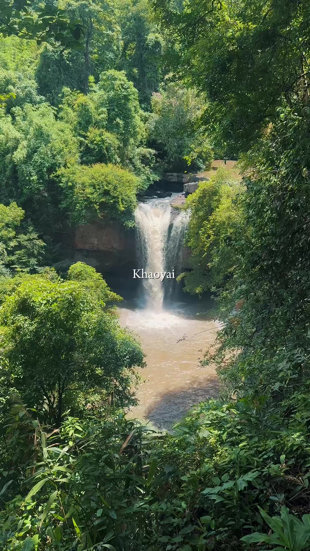 @bulim_nattha
