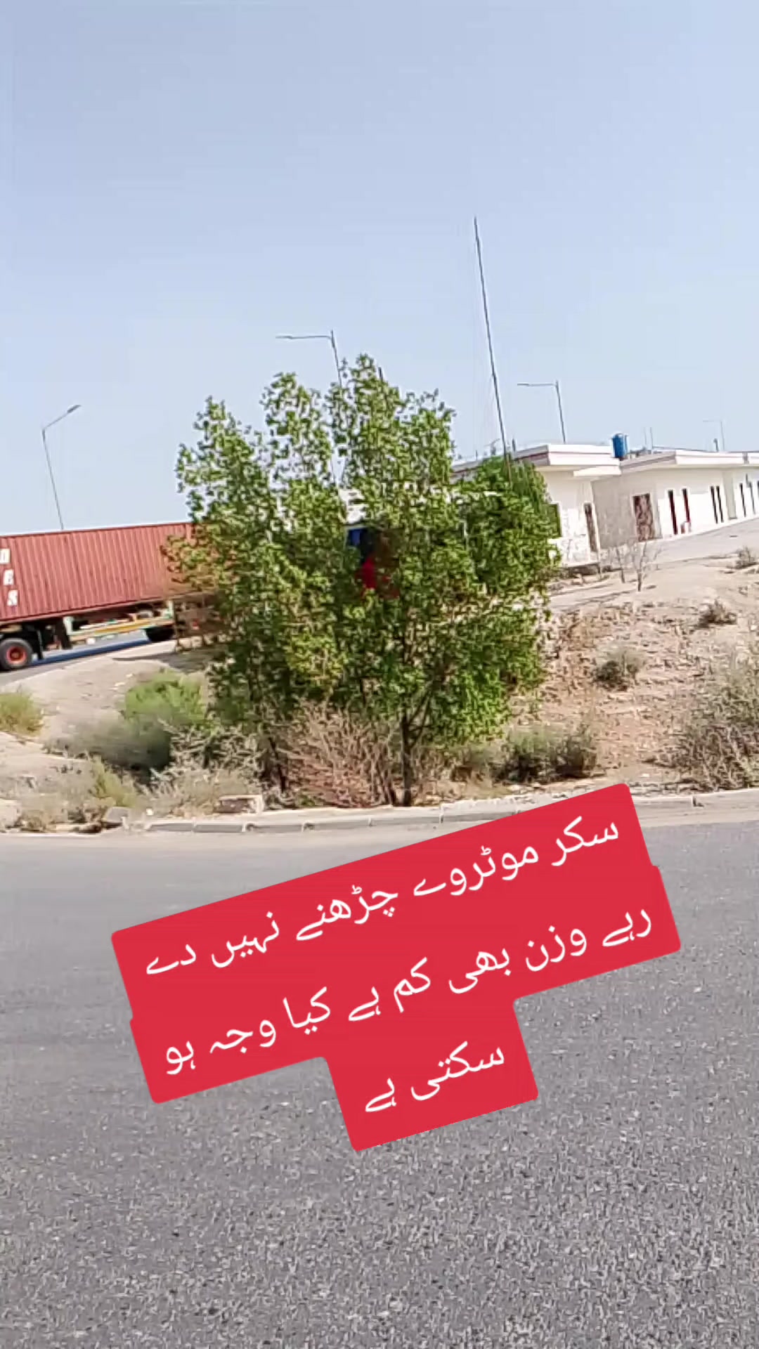 @🥷😎زاہد جٹ،،شورکوٹ آ لہ😎🥷