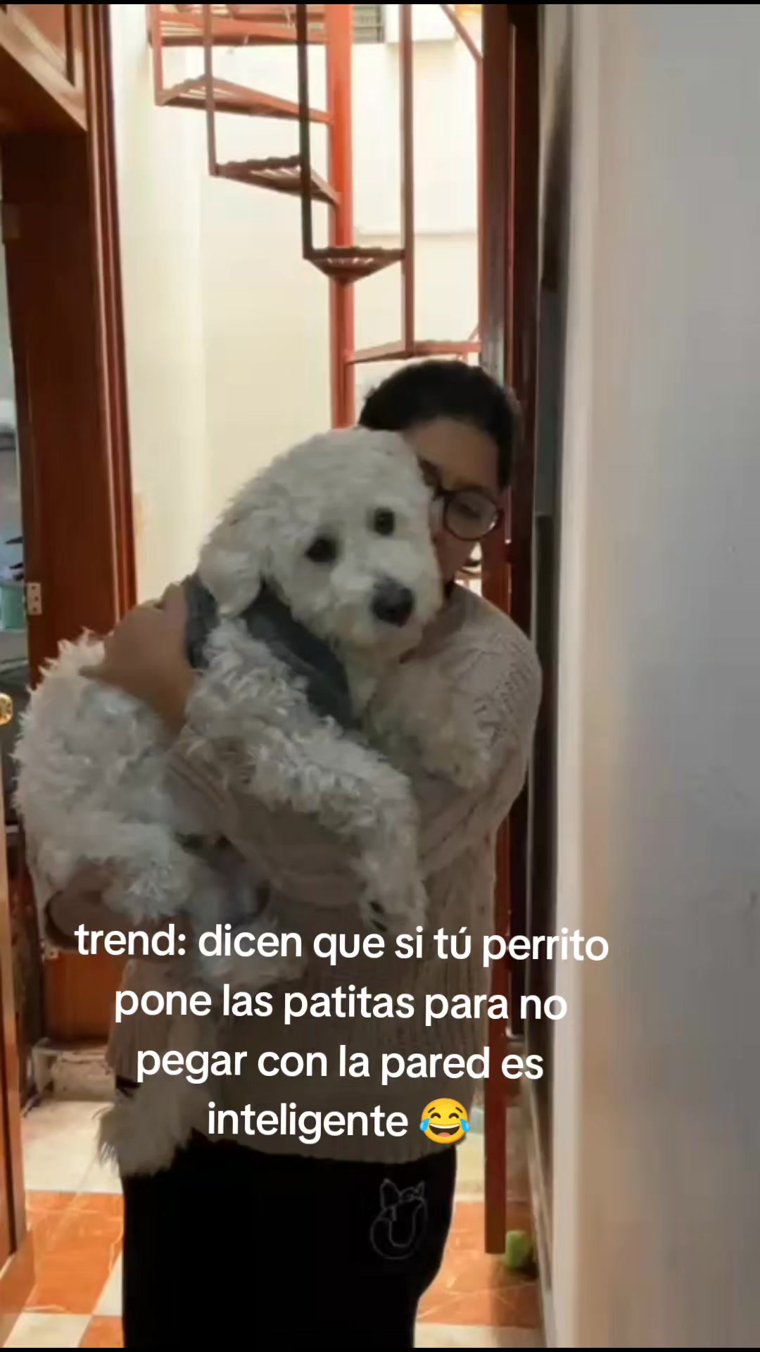 @ICO (Federico)