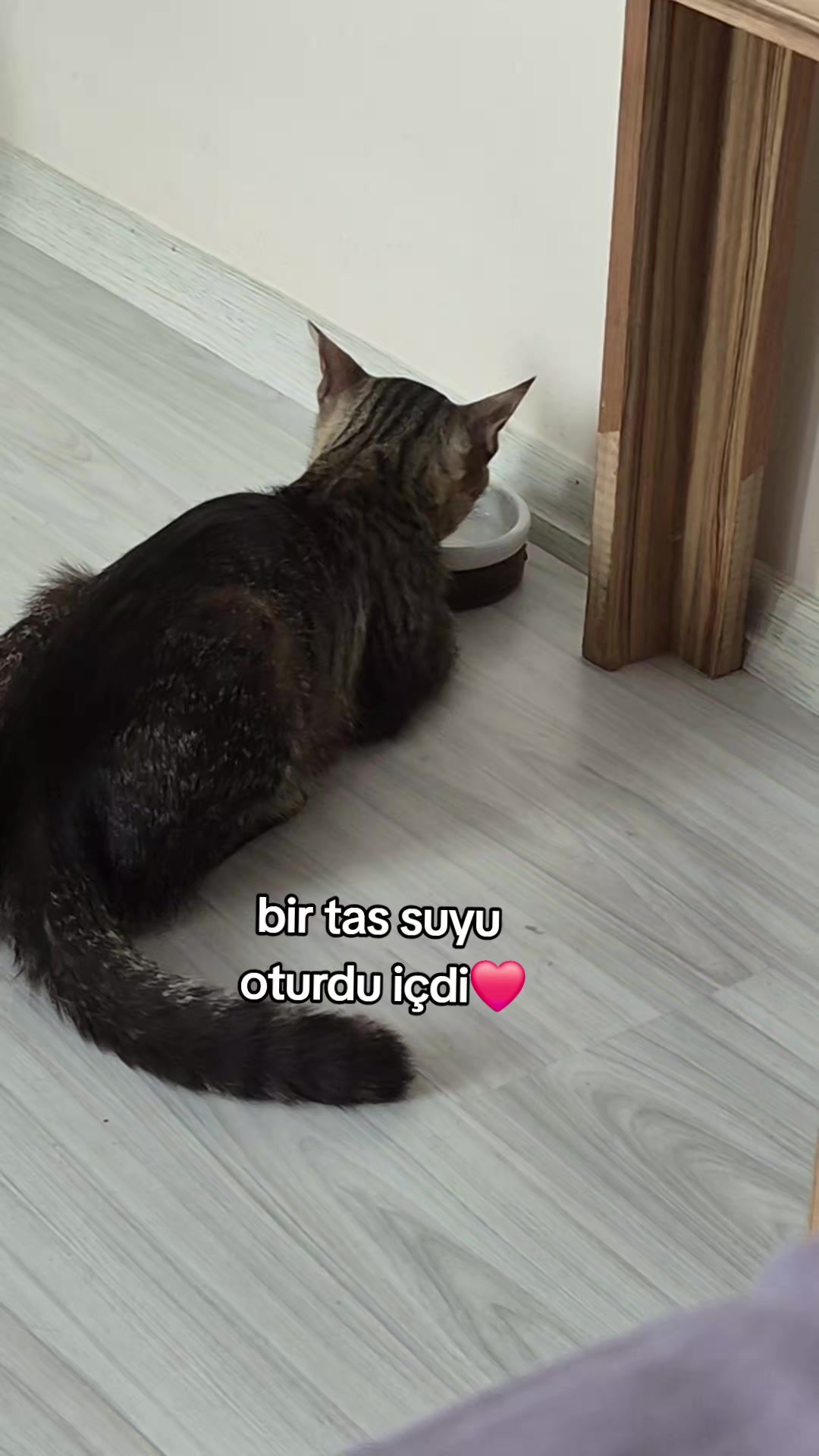 @kuzey