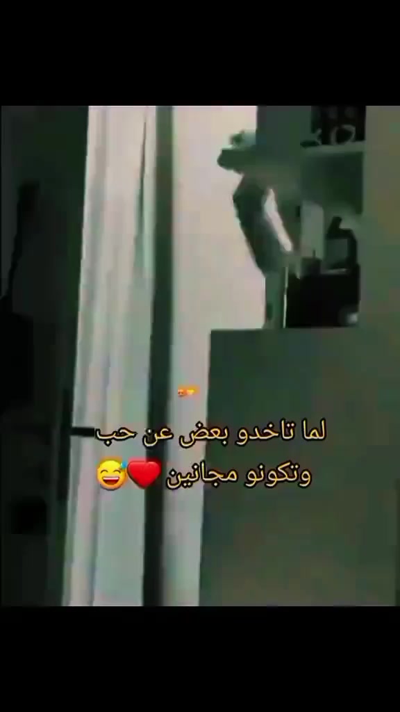 @👑𓄂ŚÄMi🪬28💥 ───╤ ̵̵͇̿̿̿̿╦︻✅