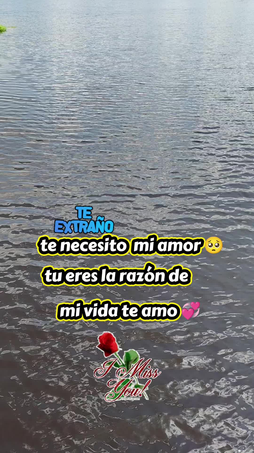 @❤️la 🌹chinita ✨