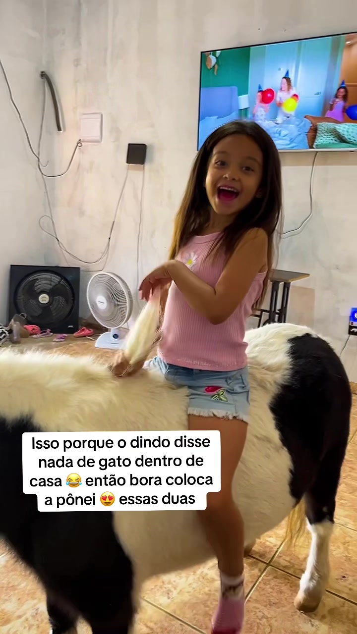 @Priscilla Santana De Campos
