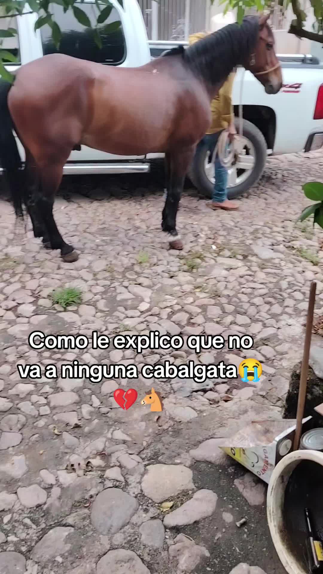 @💗🐎Tu vaquerita🐎💗