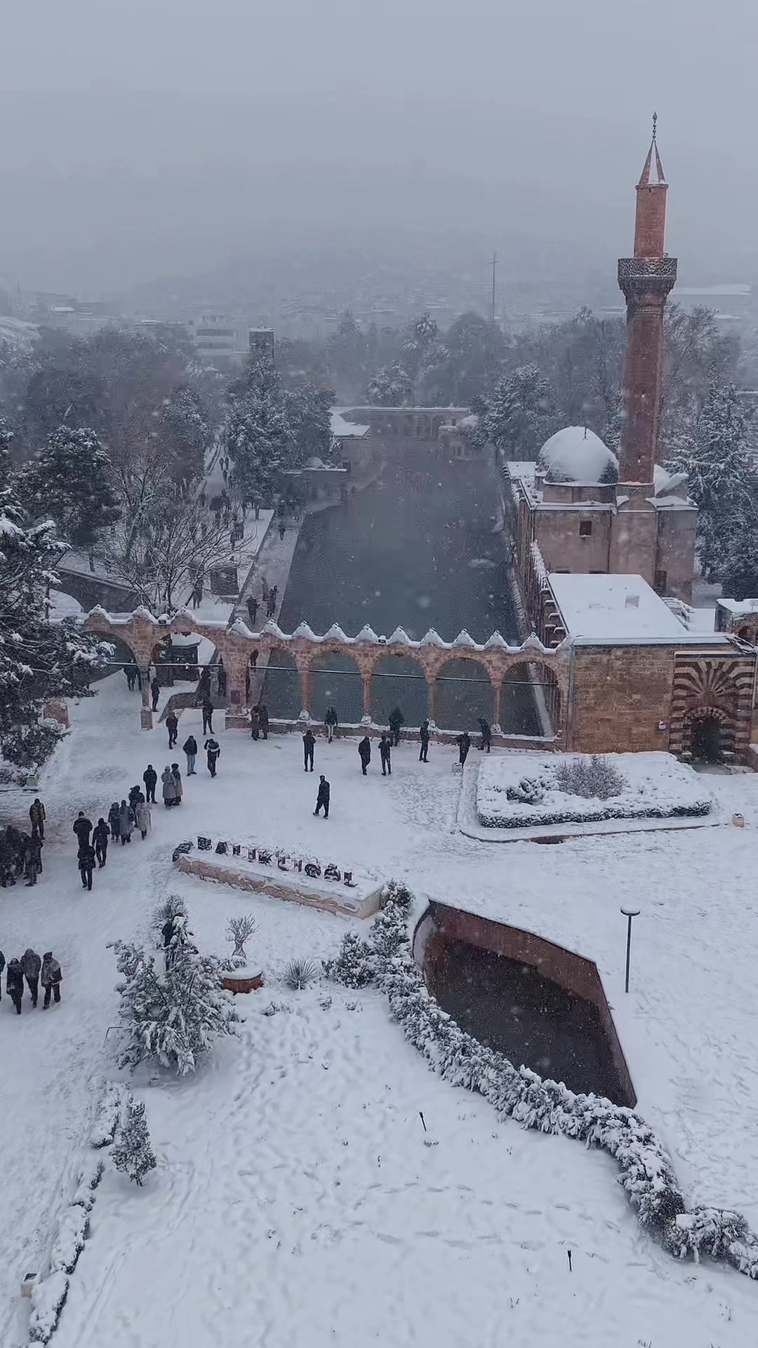 @MehmetDOGAN