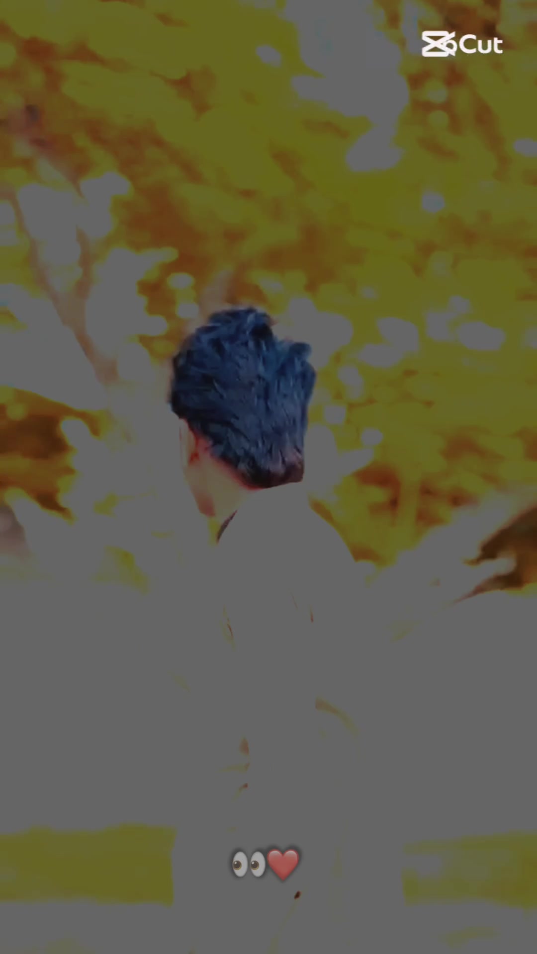 @ZamanRajput🚩