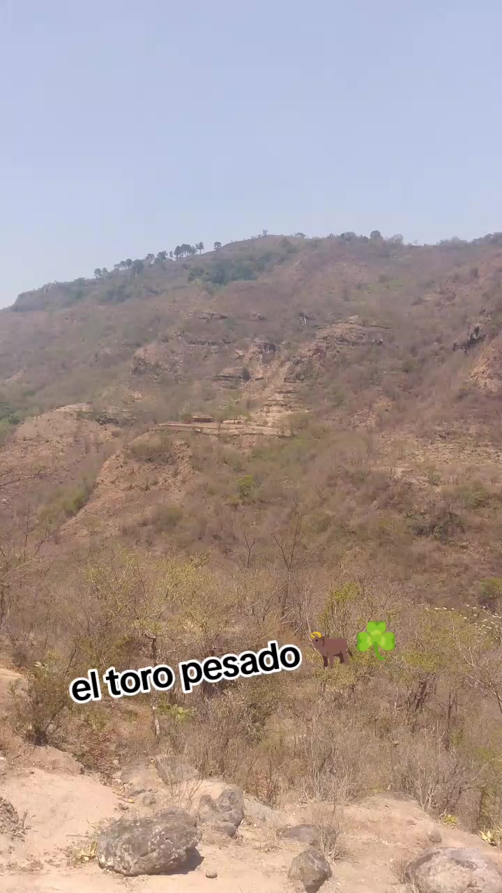 @el toro pesado ๐โ๏ธ
