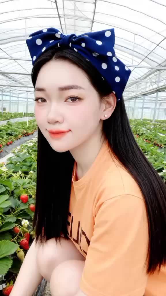 @💗💗💗🇻🇳