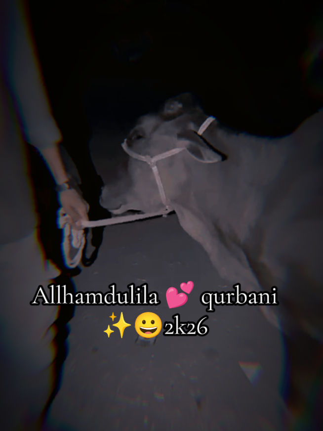 @⦕ͲᎪႮᎻᎬᎬᎠ࿇ᎷᎪᏞᏆᏦᵒᶠᶠᶤᶜᶤᵃˡ⦖
