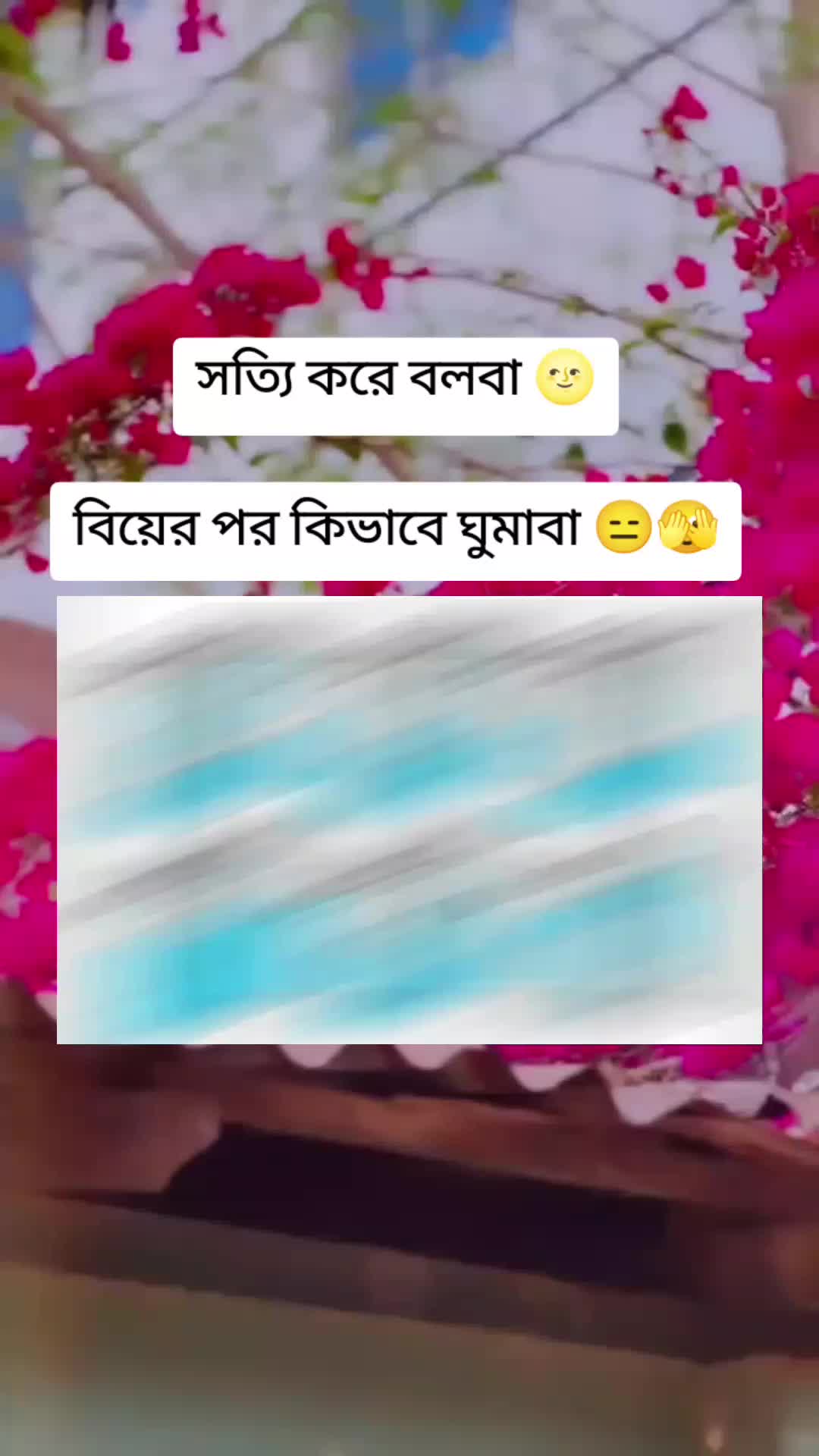@🦋 ✿ SHAMIM XT ✿ 🦋