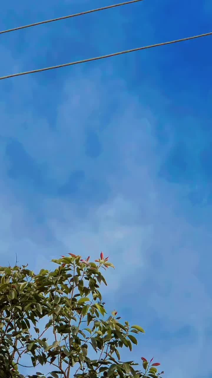@YaعOOB جاniX