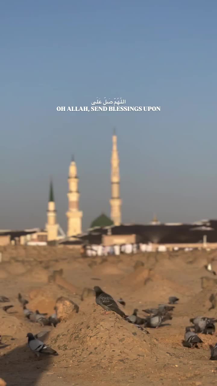 @جانم فداۓ حیدری